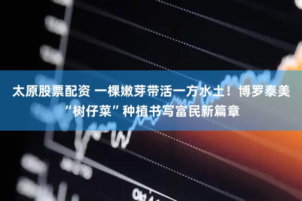 太原股票配资 一棵嫩芽带活一方水土！博罗泰美“树仔菜”种植书写富民新篇章